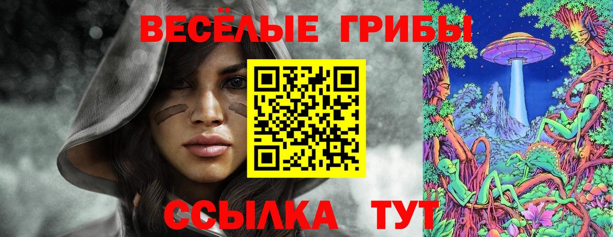 Псилоцибиновые грибы мухоморы Биробиджан